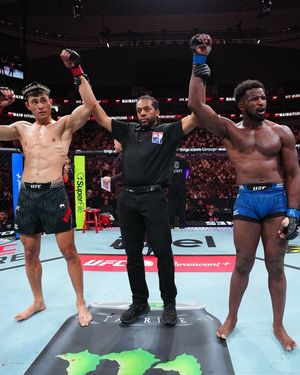 Image post by @ufc on Instagram