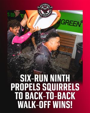 Image post by @gosquirrels on Instagram