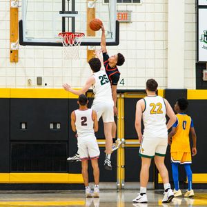 Image post by @bovadawg.visuals on Instagram