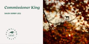 Image post by @keenelandsales on Twitter