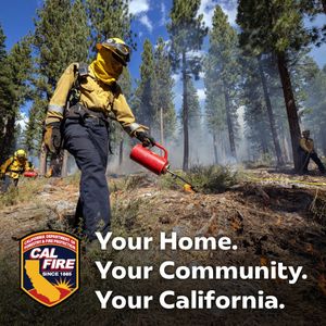 Image post by @calfire on Instagram