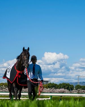 Image post by @worldhorseracing on Instagram