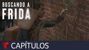Video post by @telemundo on YouTube