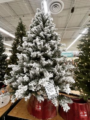 Image post by @biglots on Instagram