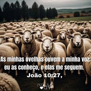 Image post by @elikarlos.oficial on Instagram