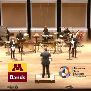 Image post by @umnbands on Instagram