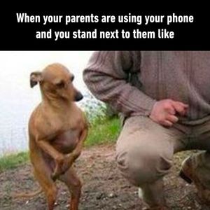 Image post by @9gag on Instagram