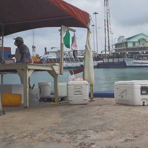 Image post by @caymangov on Instagram