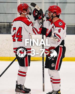 Image post by @ugahockeyd3 on Instagram