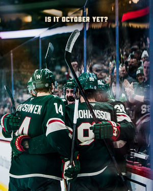 Image post by @minnesotawild on Instagram