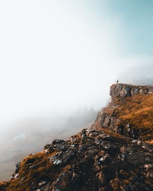 Image post by @danigoinhamm on Instagram