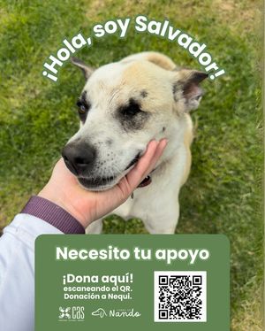 Image post by @tierradenando on Instagram