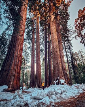 Image post by @nationalparkscollective on Instagram