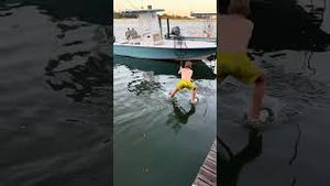 Video post by @barstooloutdoors on YouTube
