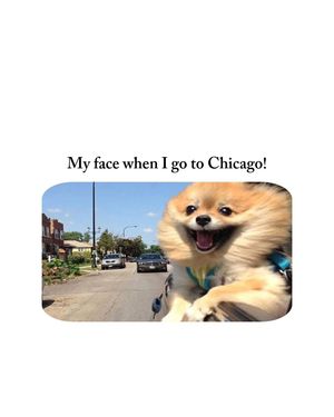 Image post by @chicago.explore on Instagram