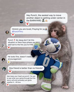 Image post by @seahawks on Instagram