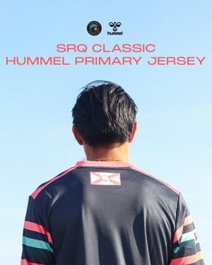 Image post by @sarasotaparadise on Instagram