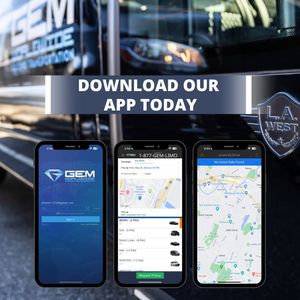 Image post by @gemlimo on Instagram