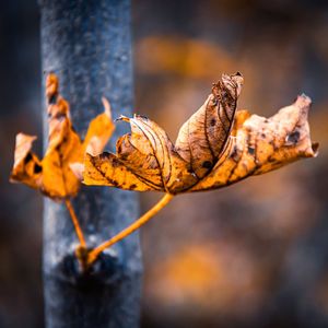 Image post by @cristan.nature.photography on Instagram