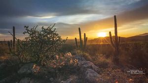 Image post by @arizonasfamily on Instagram