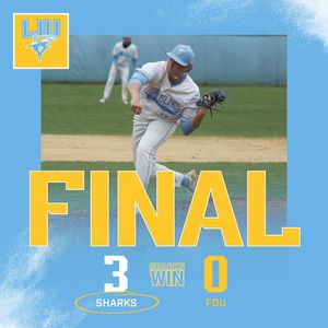 Image post by @liubaseball on Instagram