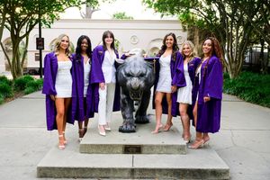 Image post by @LSUgym on Twitter