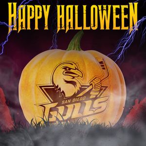 Image post by @sdgullsahl on Instagram