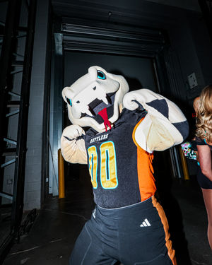Image post by @arizonarattlers on Instagram
