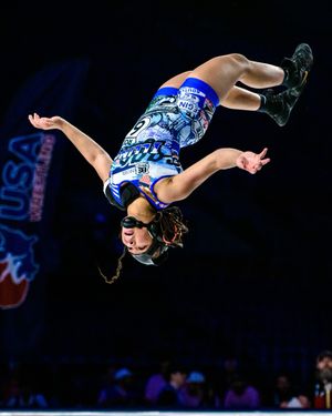 Image post by @usawrestling on Instagram