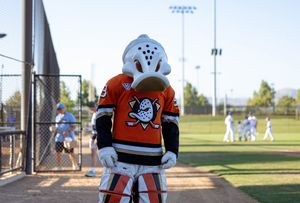 Image post by @ocriptidebaseball on Instagram