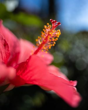 Image post by @fotodioxpro on Instagram