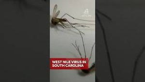 Video post by @wyffnews4 on YouTube