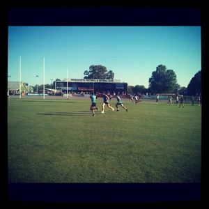 Image post by @collingwood_fc on Instagram