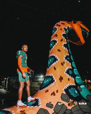 Image post by @famufb on Instagram