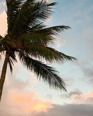 Image post by @nicollethinks on Instagram