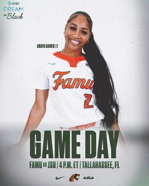 Image post by @famu_softball on Instagram
