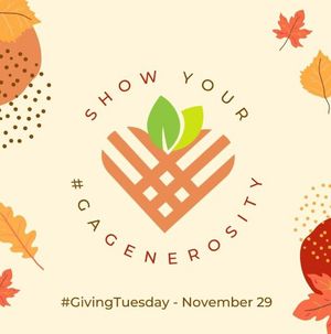 Image post by @givingtuesday on Instagram