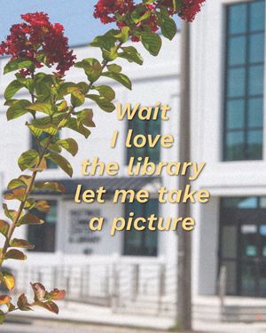 Image post by @stjohnscountylibrary on Instagram