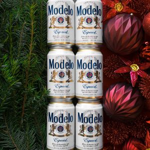 Image post by @ModeloUSA on Twitter