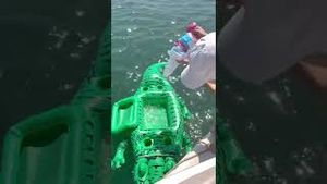 Video post by @Walmart on YouTube