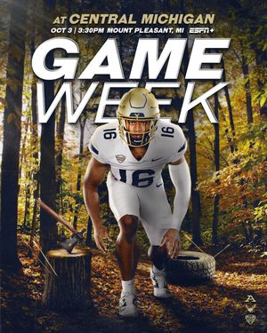 Image post by @zipsfb on Instagram