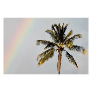 Image post by @gomediakc on Instagram