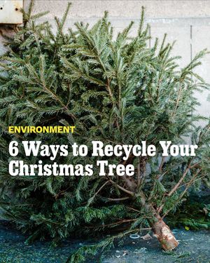 Image post by @outsidemagazine on Instagram