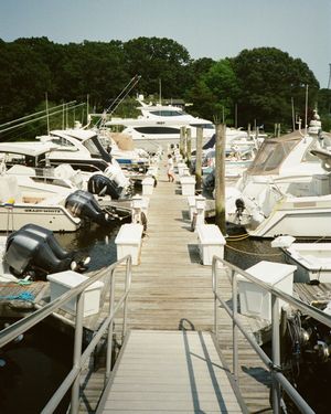 Image post by @islandcovemarinact on Instagram