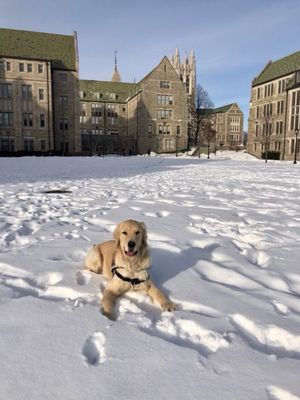 Image post by @bostoncollege on Instagram
