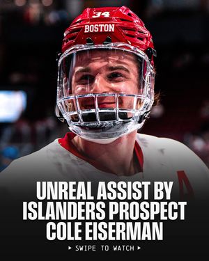 Image post by @nhl on Instagram