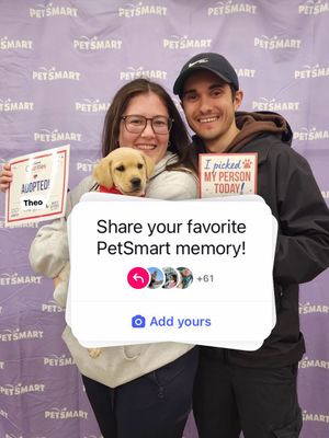 Image post by @petsmart on Instagram