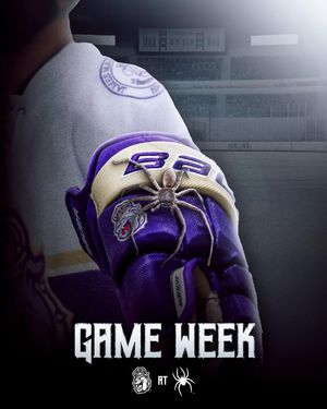 Image post by @jmuicehockeyclub on Instagram