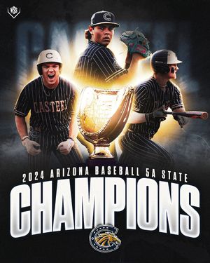 Image post by @wsshomeplate on Instagram