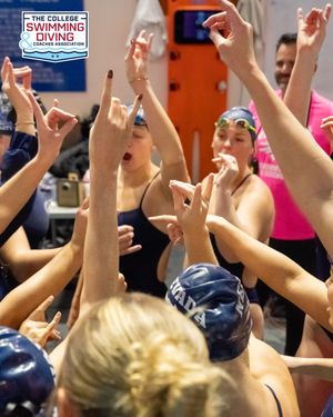Image post by @nevadaswimdive on Instagram